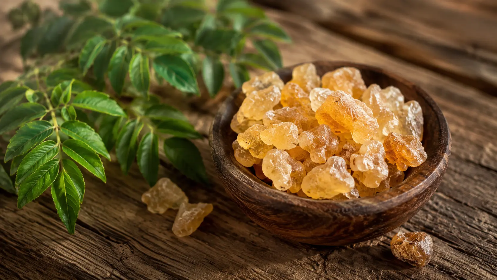 Boswellia serrata (Shallaki) : bienfaits pour les articulations